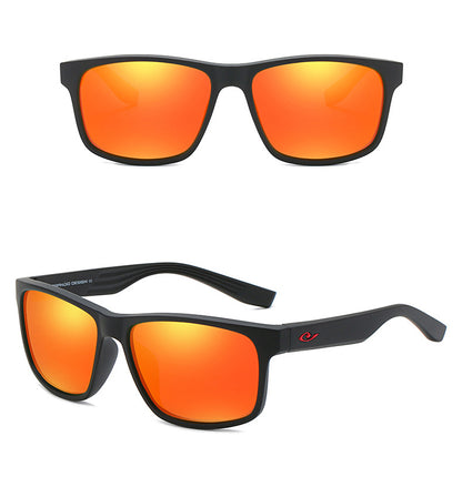 Shades Type 12